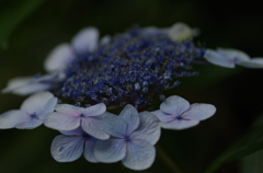 しずくblue　あなたへの淡い想い・・・