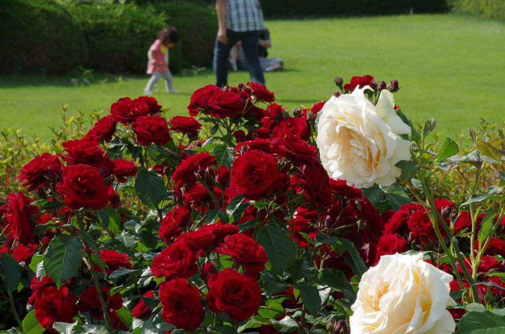そばにいるよ♪