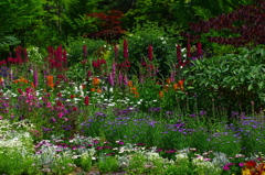 full bloom flower