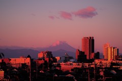 しずくpink　頬染める富士山