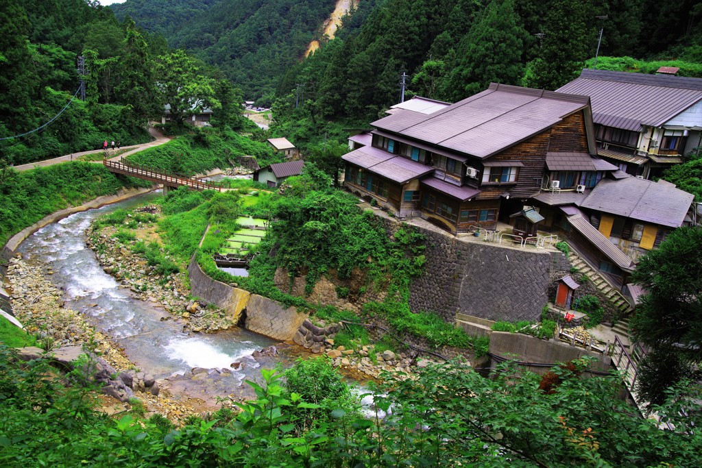 お猿さんを眺めながら入れるってどうよ！？