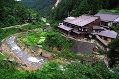 お猿さんを眺めながら入れるってどうよ！？