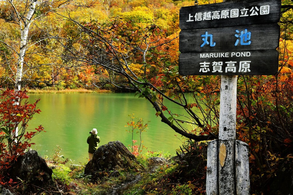 丸池の秋色
