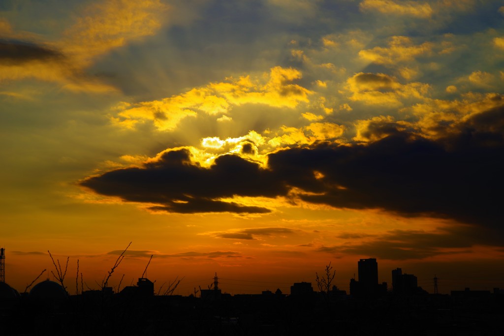 Shaft of light♬*.+゜