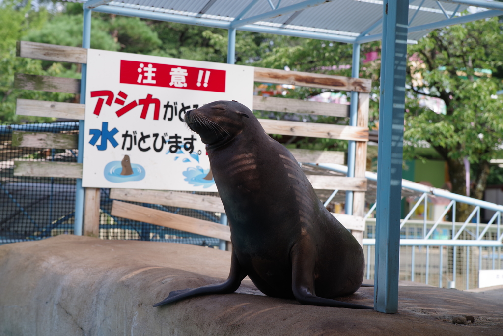 また、明日ね～♫