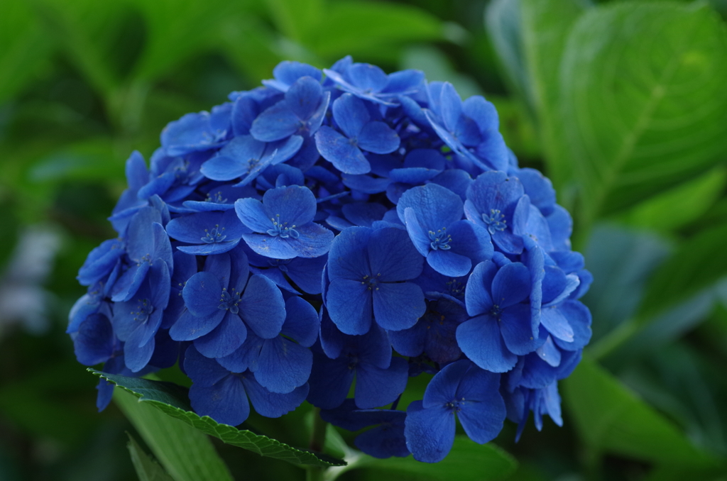 蒼い世界4