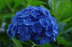 蒼い世界4