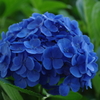蒼い世界4