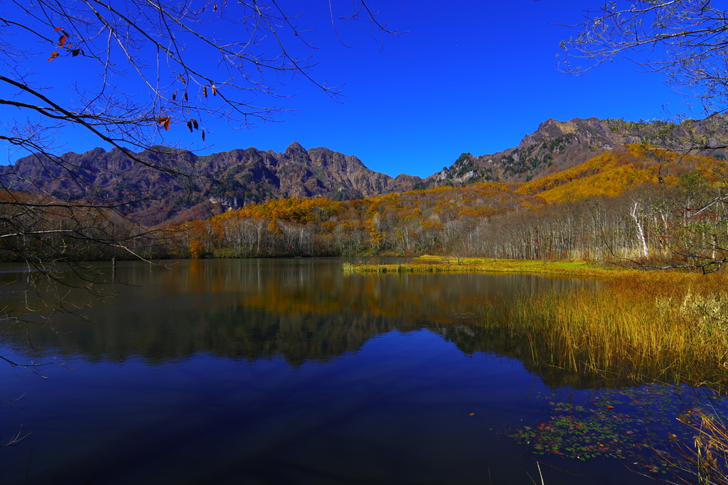 萌ゆる秋・燃える想いはこの水鏡に・・・