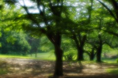 relax in sunlight