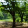 relax in sunlight