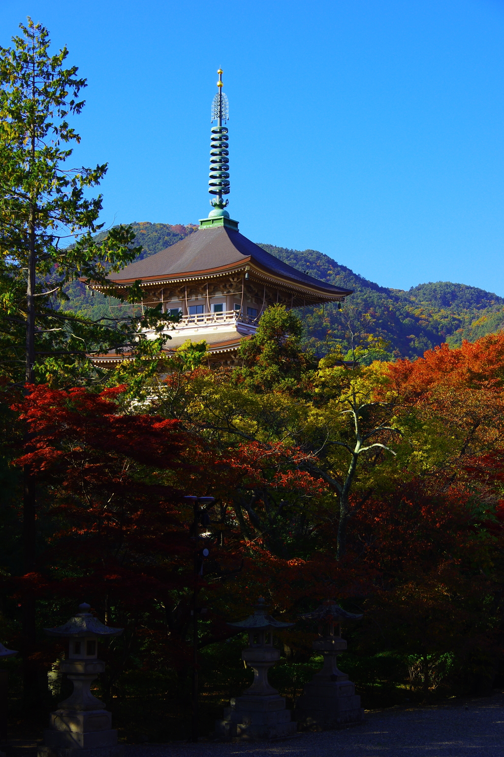 秋色に染まる