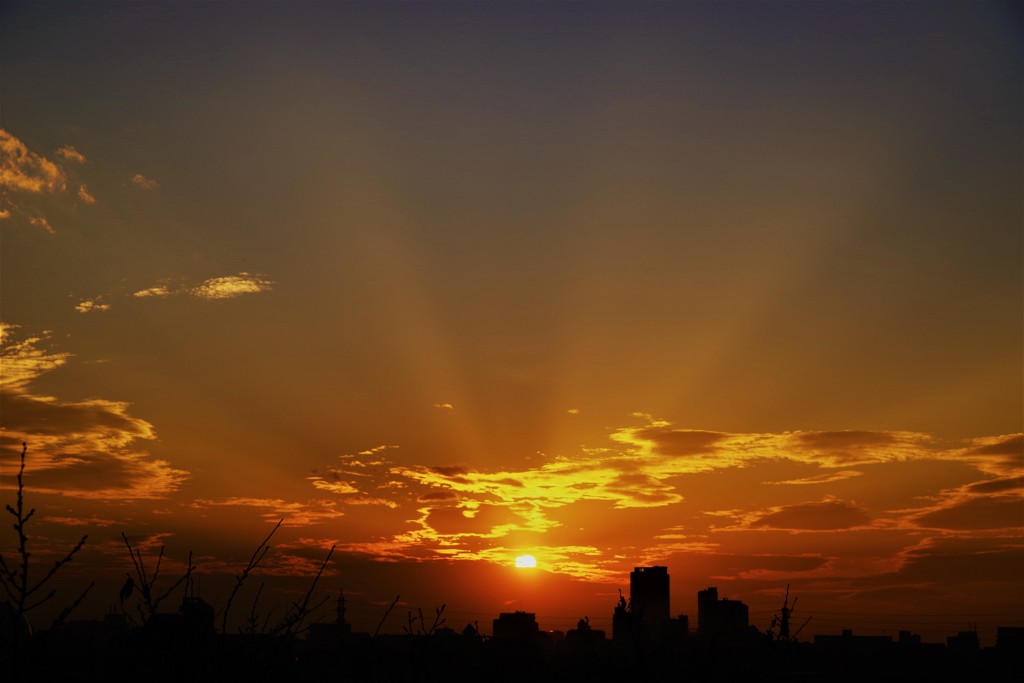 beam of light♪。.:＊・゜