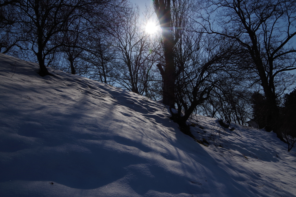 plains of silvery white 