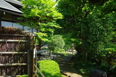 新緑の中の和の佇まい