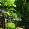 新緑の中の和の佇まい