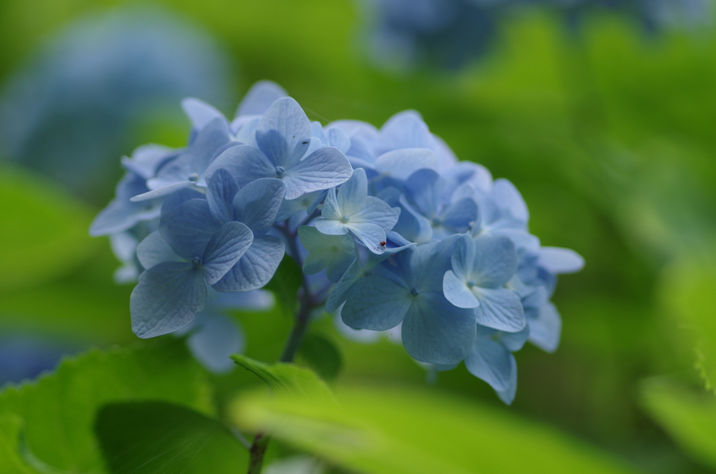 しずくblueでスタート♪