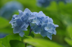 しずくblueでスタート♪