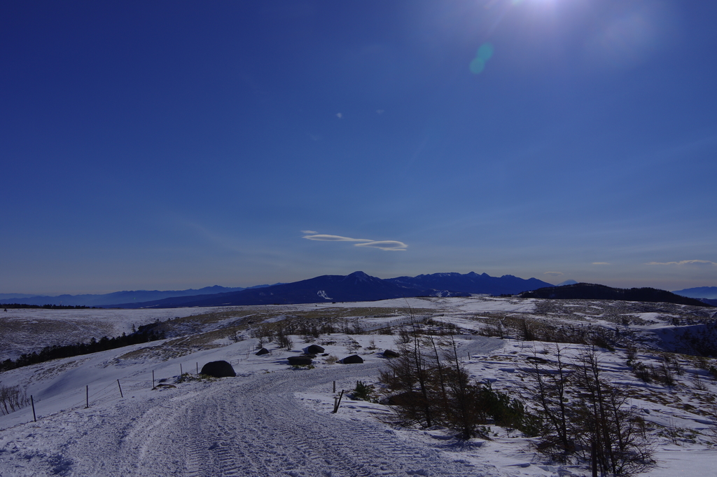 秘密基地より・・・