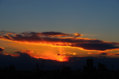 reflection of light♬*.+゜