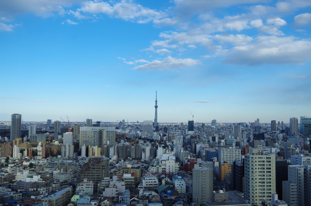 東京スカイツリーview