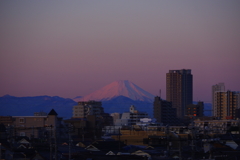 しずくpink　薄紅色の朝