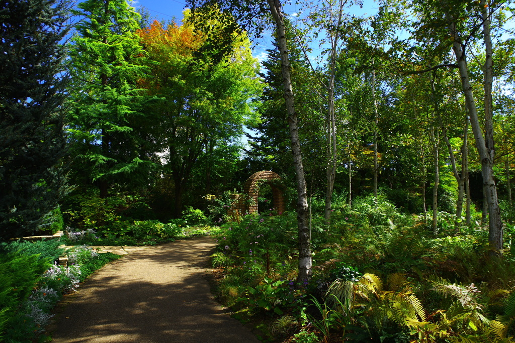 healing space