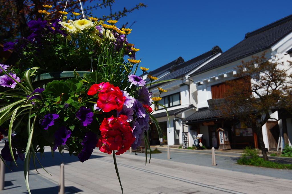 碧空と花の似合う素敵な街♬