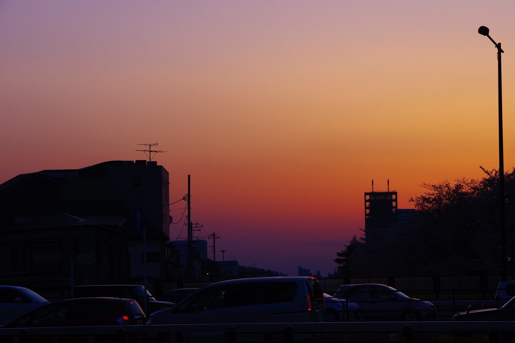 明日への想い♪。.:＊・゜