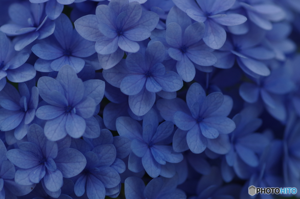 しずくblue～満面の笑みで