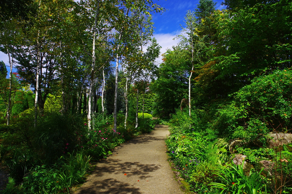 爽やかな風が吹き抜ける小径♪