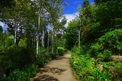 爽やかな風が吹き抜ける小径♪