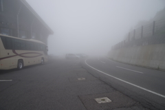 霧の中をク～ルクル♬