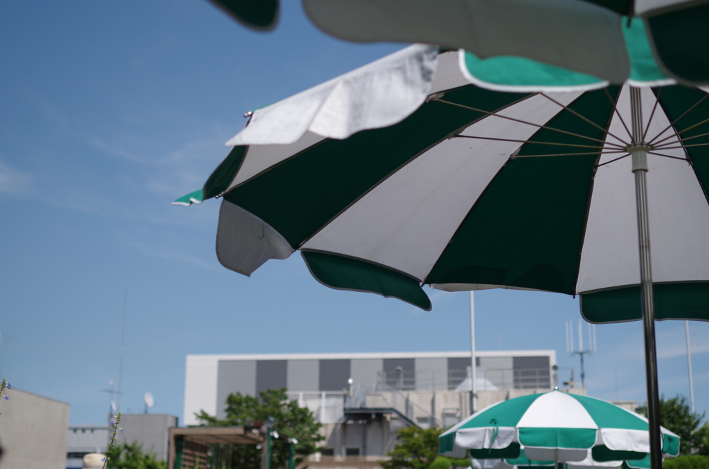 夏を待ちきれなくて