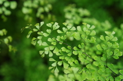 Just sit back and relax