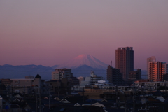 しずくpink　薔薇色に染まる富士