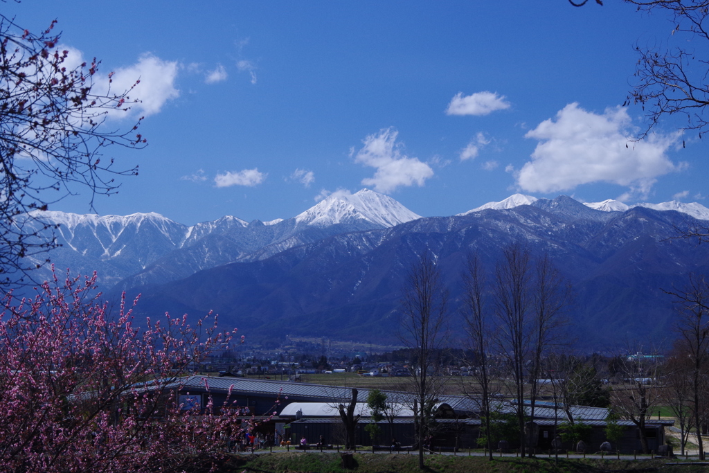 常念春景。