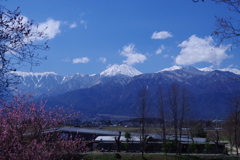 常念春景。