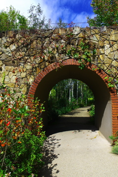 秋晴れのgarden・白樺の小径へ