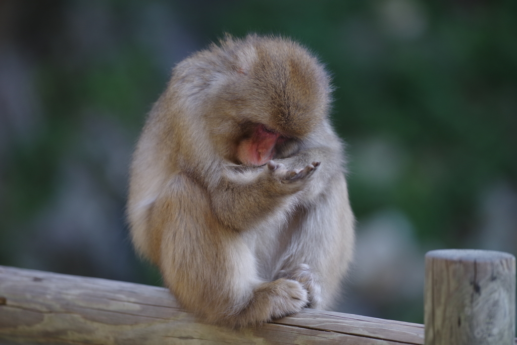 手のひらいっぱいの愛を•*¨*•.¸¸♬