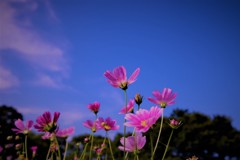 beautiful　days•*¨*•.¸¸♬
