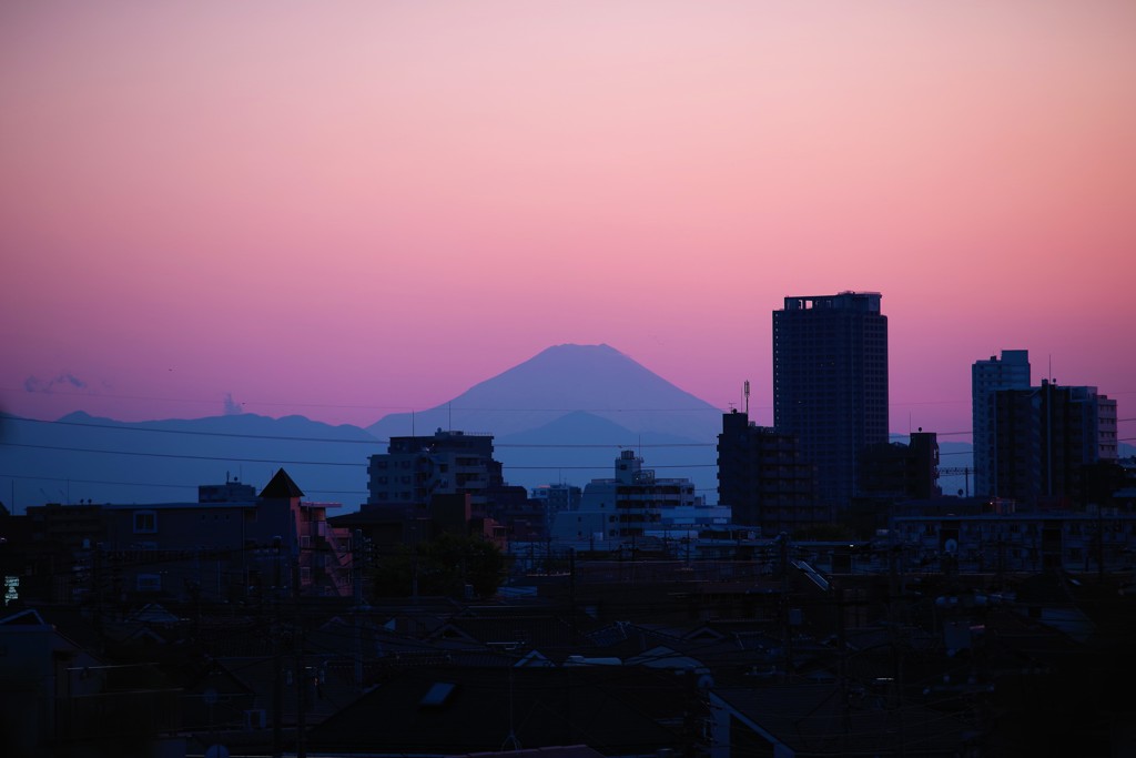 桜色の空に☆。.:＊・゜