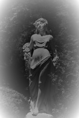 舞い降りた天使 の微笑み♬*.+゜