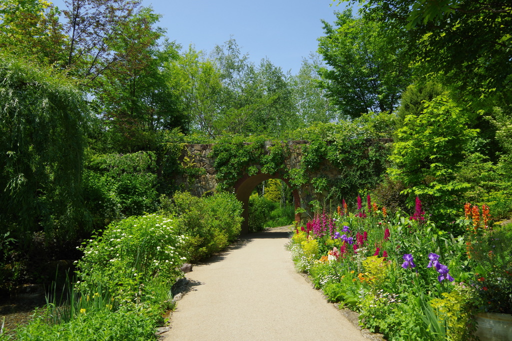 The Secret Garden