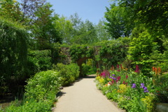 The Secret Garden