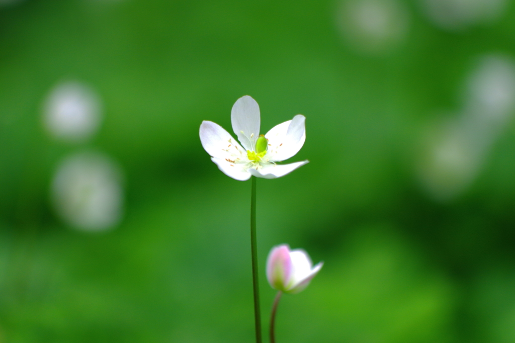 ずっと・・・離れない。