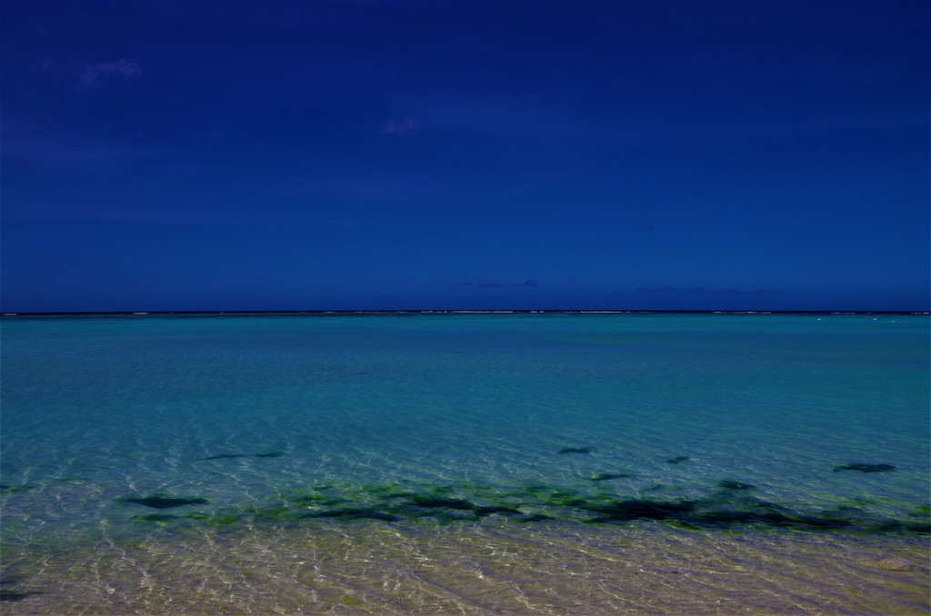  Sea Breeze