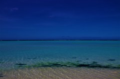  Sea Breeze
