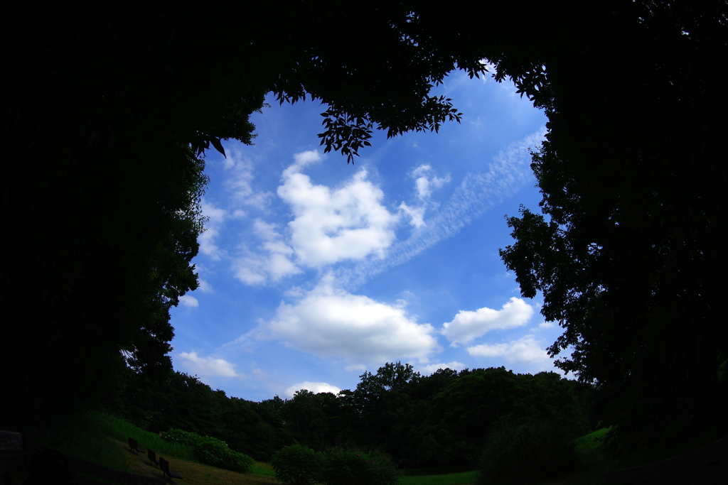 あなたにツ・ナ・ガ・ル碧空