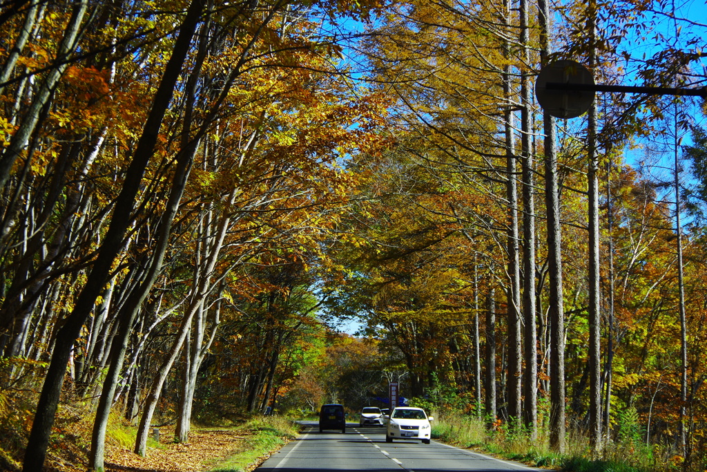 いつかまた・・・